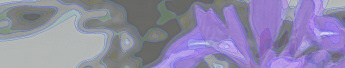 TitleImage