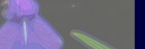 TitleImage
