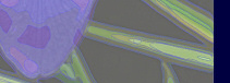 TitleImage